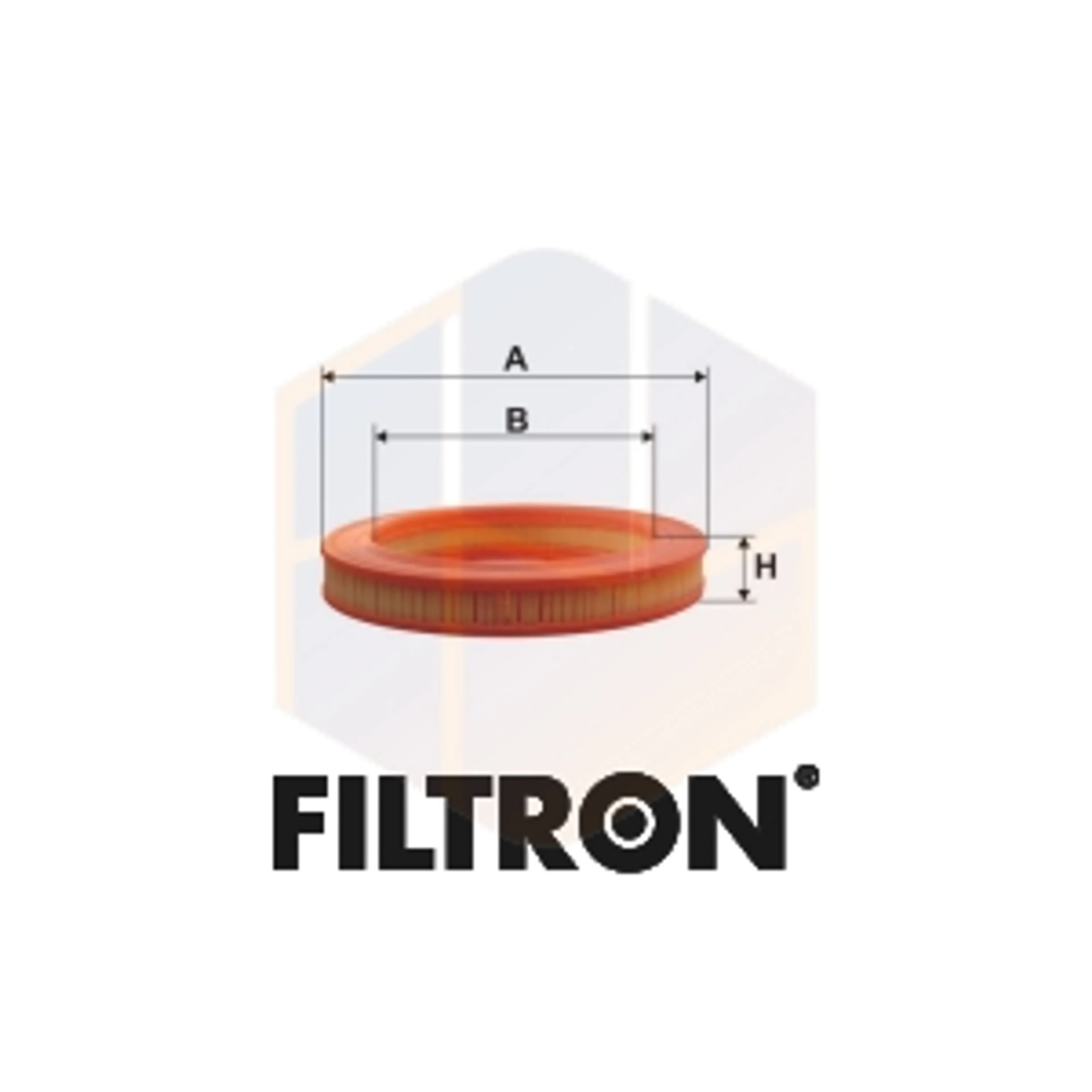 FILTRO AIRE AR 204/1