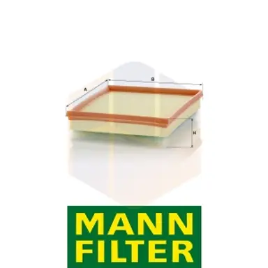 FILTRO AIRE C 24 017 MANN