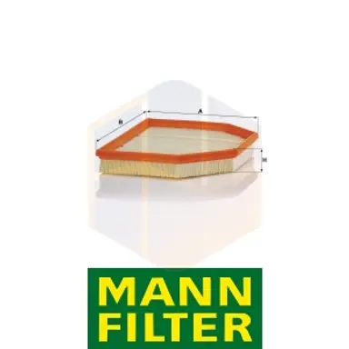FILTRO AIRE C 24 243 MANN