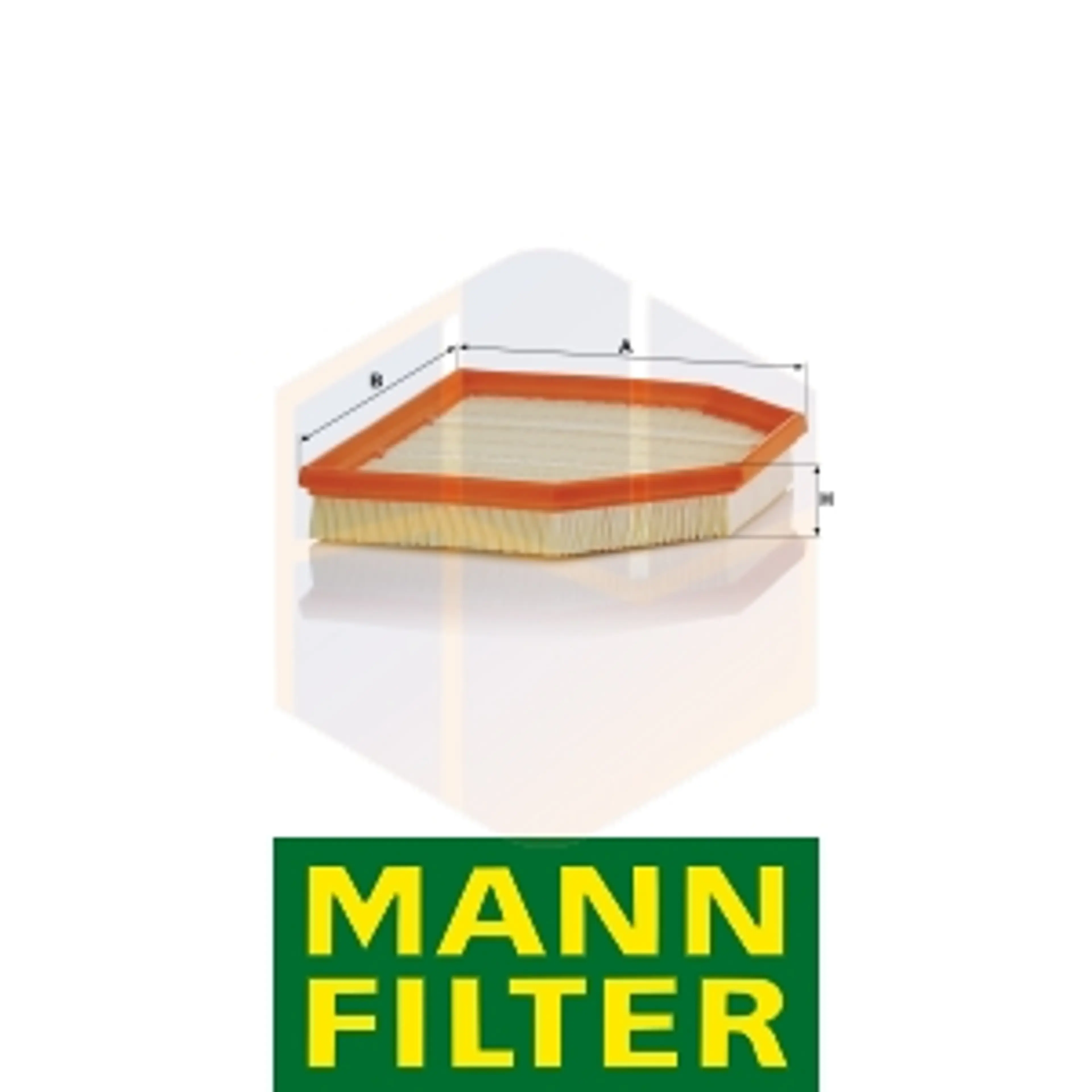 FILTRO AIRE C 24 243 MANN