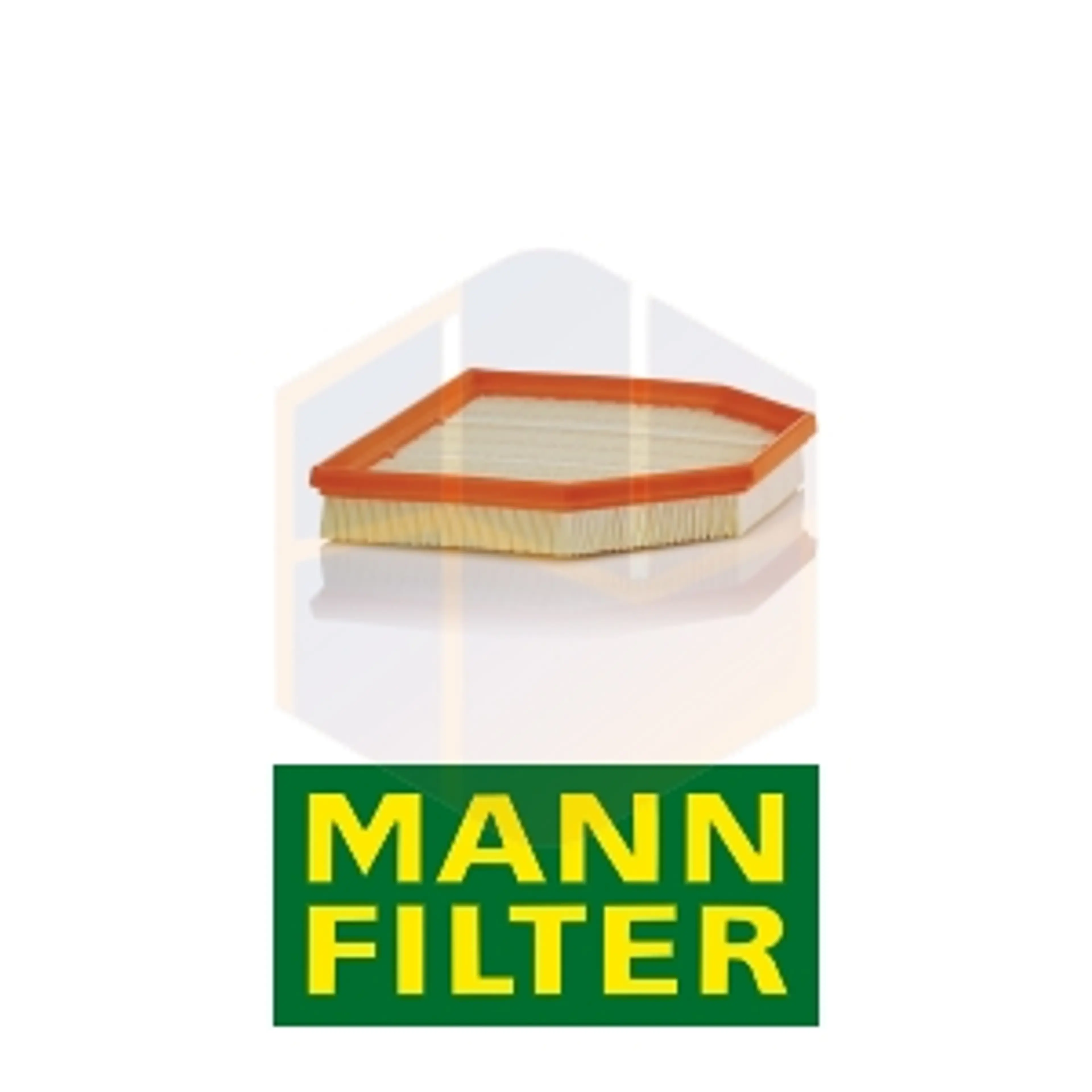 FILTRO AIRE C 24 243 MANN