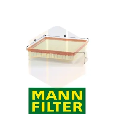 FILTRO AIRE C 30 163 MANN